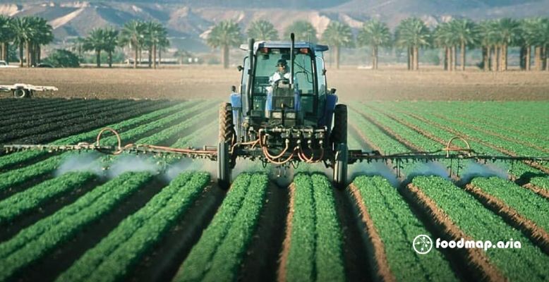 Nông nghiệp công nghệ cao “Made in Israel”