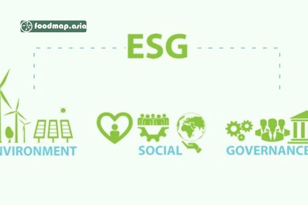 ESG-socail