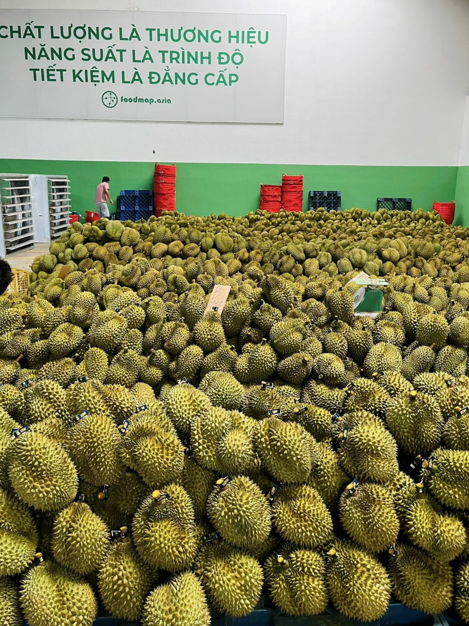 durian vietnam