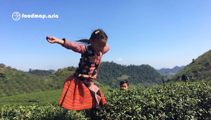 Báo cáo phân tích thị trường trà tại Việt Nam 2018