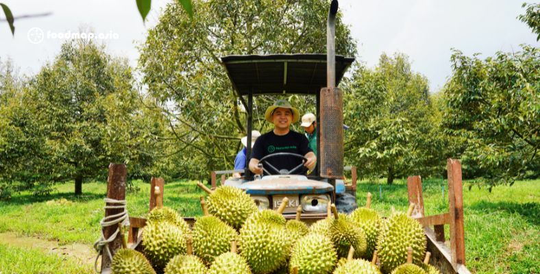 Philippines đã đề ra kế hoạch mở rộng diện tích trồng sầu riêng tại Davao thêm 15.000 ha.